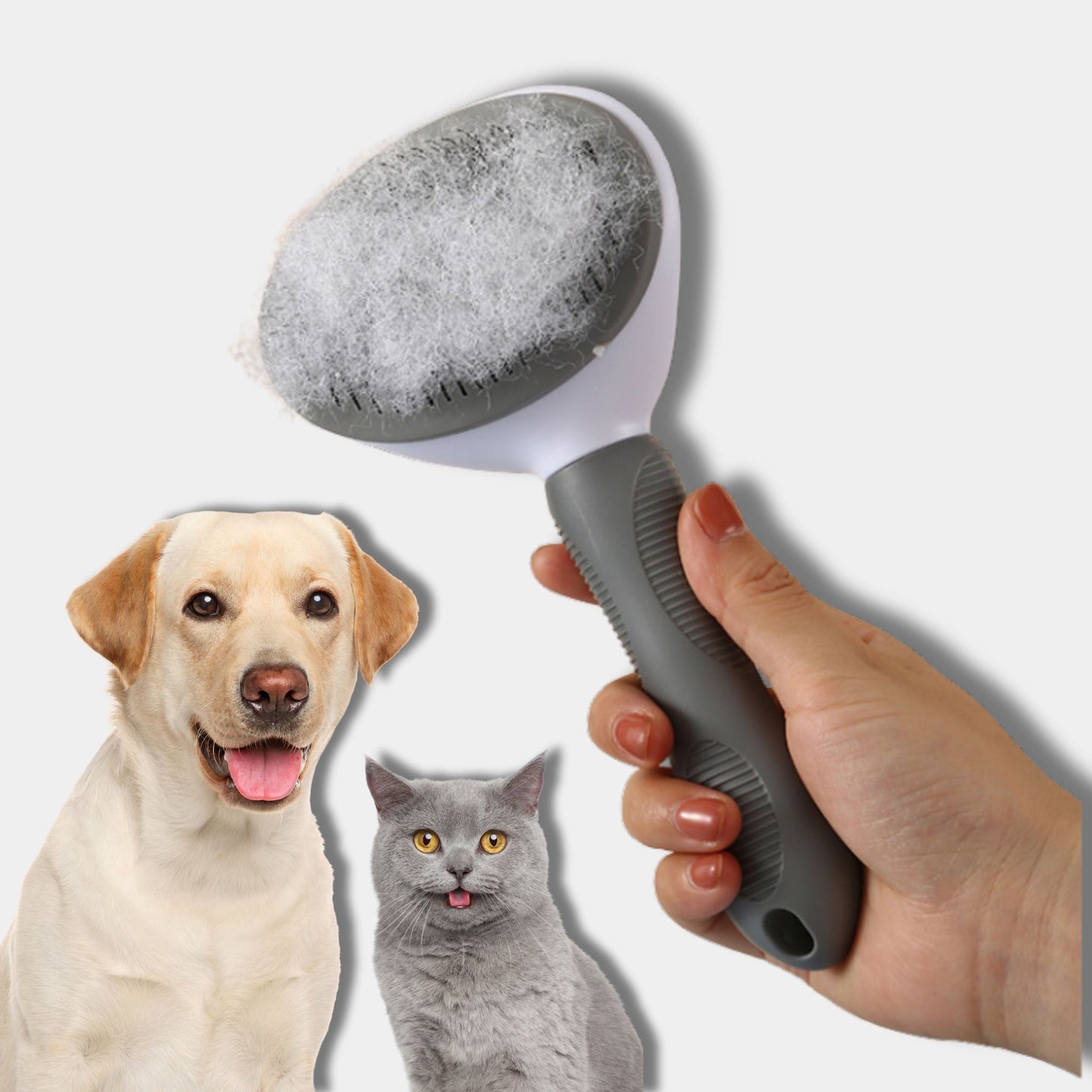 EasyGroom- Brosse pour animaux de compagnie